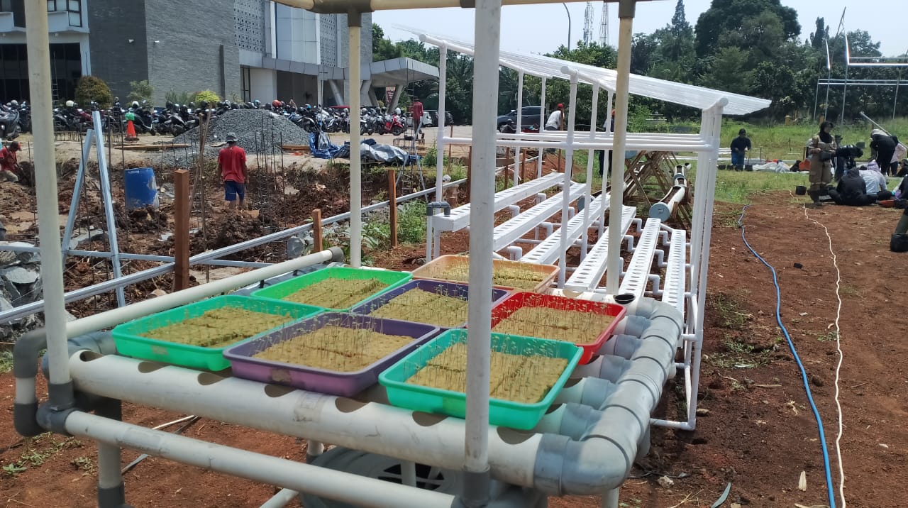 WhatsApp Image 2024-10-15 at 10.38.07 Hidroponik