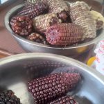 IMG-20241203-WA0007 Hasil Panen Perdana