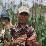 Screenshot_20241203-195450_WhatsApp Dosen Agri