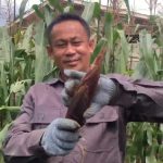 Screenshot_20241203-195459_WhatsApp Kepala PLT